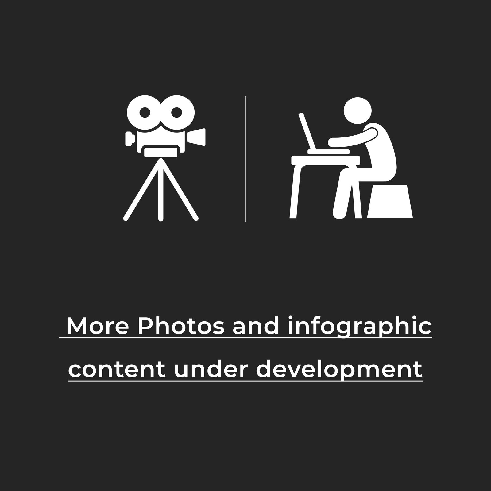 Cast Iron Kettlebells - Image 3