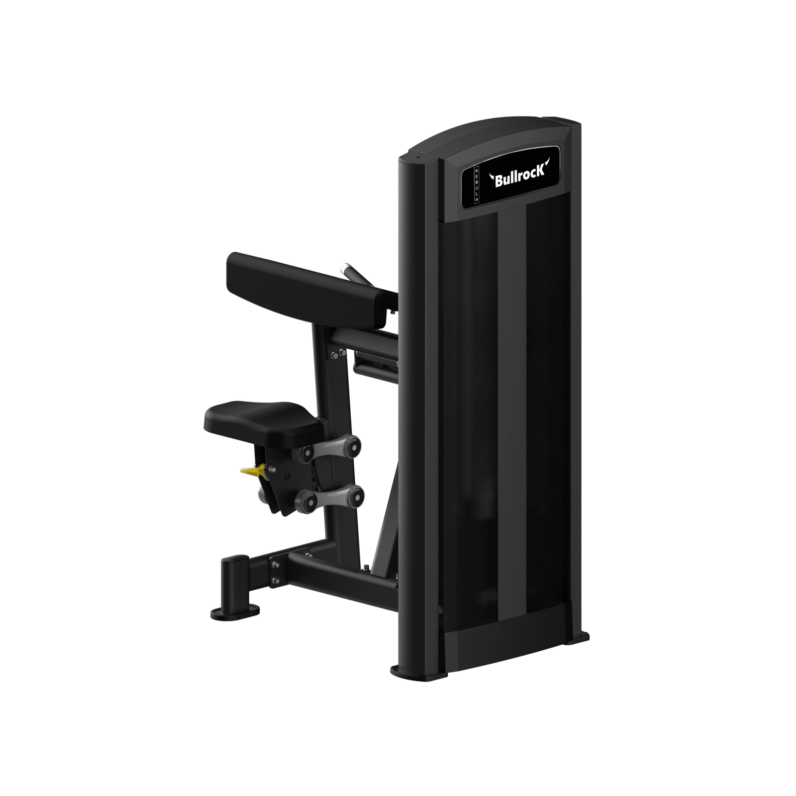 Biceps Curl - Image 2